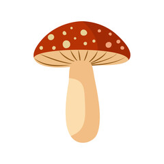 Flat vector fly mushroom on isolated background Red mushroom. Fresh fall seasonal illustration. Autumn mushroom cap and stem. 
