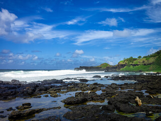 A picturesque rocky shoreline bathed in sunlight, with waves gently crashing under a bright blue sky and fluffy clouds.