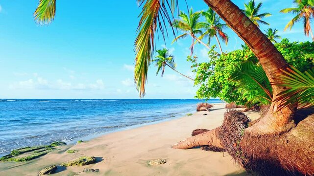 Summer beautiful view of Thailand beach with yellow sand and bright green palm trees. Blue sea and blue cloudy sky. Palm jungle - background for relaxation. Summer vacation and outdoor adventures.