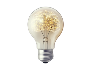Brain inside lightbulb icon, isolated on white background, vector, minimalistic PNG transparent.