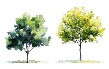 Fototapeta premium Two beautifully rendered watercolor trees exhibit contrasting colors; one features dark green foliage while the other displays vibrant yellow leaves, highlighting seasonal changes