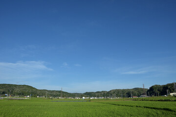 気持ちいい青空の田園風景、日本の田舎の景色