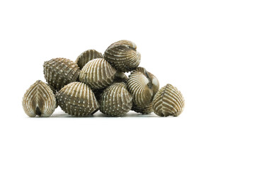 Fresh cockles on white background
