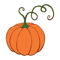 Vector color pumpkin with mustache in flat style, isolated. Symbol Halloween, autumn, crop, thanksgiving, fruitful year.