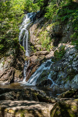 Obraz premium Campbell Falls