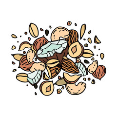 Vector hand drawn illustration nuts and seeds mix in the doodle style on a white background
