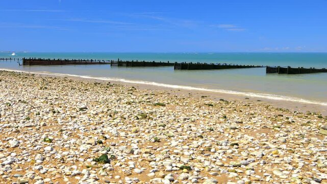 Bouchot wooden sticks on the Saumonards beach to raise mussels in Boyardville, France