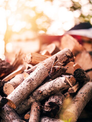 A pile of wood logs with some of them being cut. The pile is in the sun and has a rustic feel to it. Natural fuel for a home heating and cooking. Country side living.