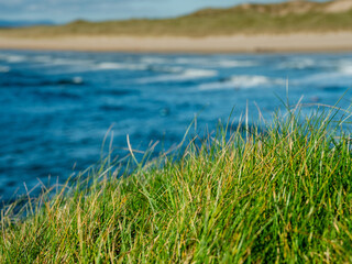 Green grass grows on cliff and amazing waves and sandy Bundoran beach in Ireland on warm sunny day. Popular tourist and surfers area. Blue cloudy sky. Irish landscape. Rich saturated color.