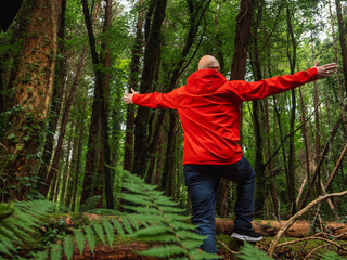 A man in a red jacket is standing in a forest. Scene is uplifting and positive, as the man is enjoying his time in nature. Travel and tourism. Active outdoor. Bald male model with slim body type