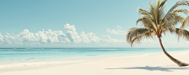 Obraz premium Serene Sandy Beach with Clear Blue Waters and Palm Tree Under a Bright Sky