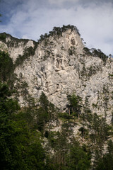 Steep, rocky cliffs covered with sparse pine trees rise dramatically against the sky. The rugged terrain and isolated trees create a striking contrast, showcasing the pristine beauty of nature.