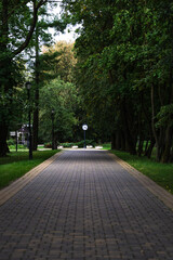 An empty, straight, sidewalk, pedestrian path in the forest park. Street clock