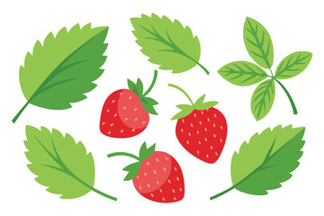  Strawberry with Leaves set isolated flat vector illustration on white background.