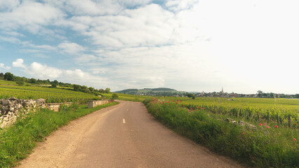 Road in the french vineyard