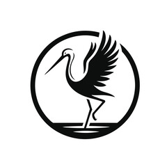 Stork bird with white background