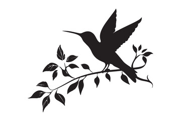 Hummingbird silhouette vector