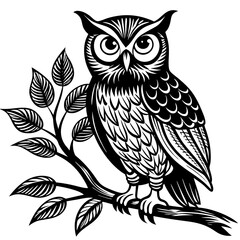 Obraz premium owl on a branch
