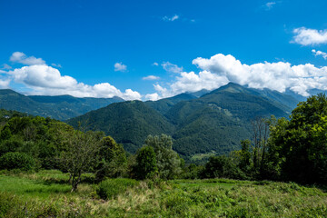 Verdant Hills of the Pyrenees