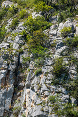Weathered Farm Tank in the Pyrenees