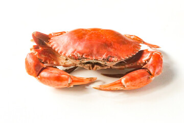 Boiled red crab isolated on white background