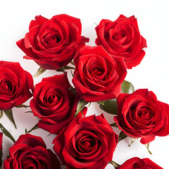 "Classic Red Roses: A Timeless Symbol of Love and Elegance in Full Bloom" 