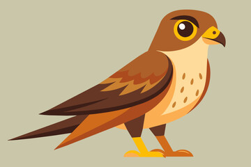 Cute harrier bird vector art illustration