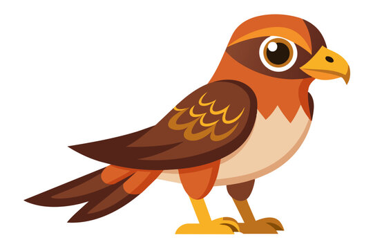 recommend clip art: Cute harrier bird vector art illustration