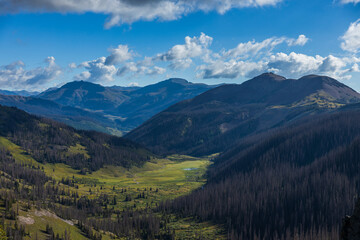 Mountain valley close up with green meadow