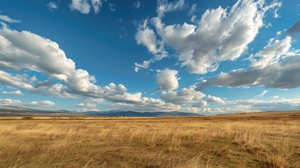 A serene image of a grassy field with a few clouds in the sky