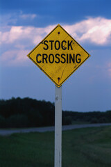 Stock Crossing Sign On Small Road