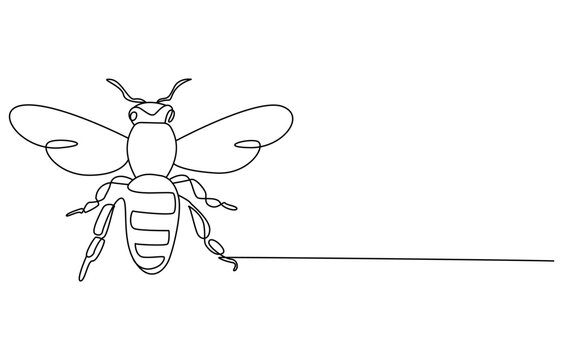 recommend clip art: fly insect biology one line art design vector, Simple illustration of honey bee shape continuous one line art bee outline vector, Honey bee continuous one line drawing vector illustration