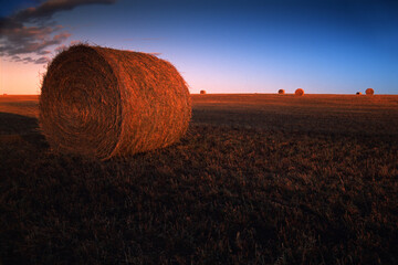 Bales Of Hay In Field