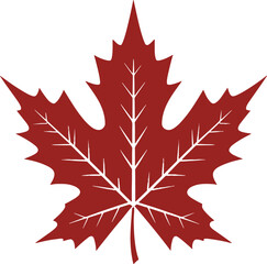 Maple leaf Silhouette Vector Illustration