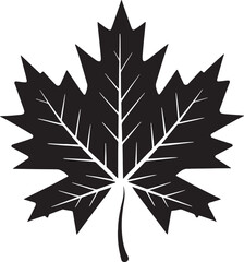 Maple leaf Silhouette Vector Illustration