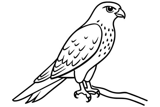 recommend clip art:  Cute illustration of harrier sitting on the branch line art vector art illustration