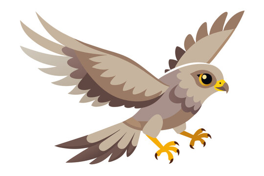 recommend clip art:  Cute illustration of harrier flying bird vector art illustration