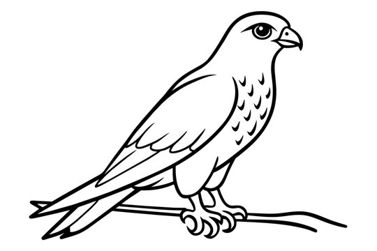 recommend clip art:  Cute illustration of harrier sitting on the branch line art vector art illustration