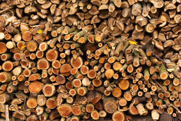 Chopped firewood is prepared for heating in winter