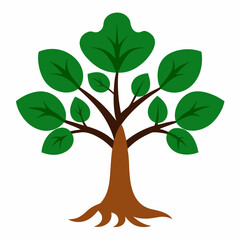 Obraz premium Sacred Fig Vector Art Design