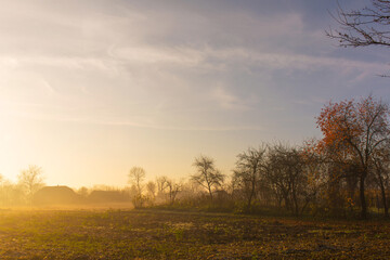 Fototapeta premium A foggy autumn morning over a garden