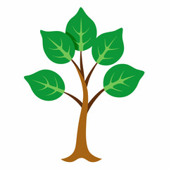 Sacred Fig Vector Art Design