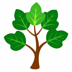 Sacred Fig Vector Art Design