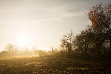 Fog on a sunny morning over the village