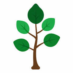 Sacred Fig Vector Art Design