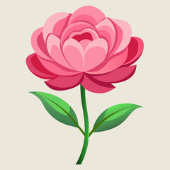 Pink flower is  vector 