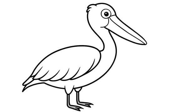 recommend clip art: Cute illustration of pelican bird line art vector art illustration