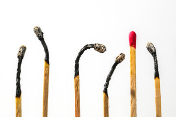 Row of burnt matches, one has survived and kept its red head, concept for endurance, risk avoidance and safety, light background with copy space