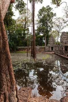 Ancient temple ruins with tree roots over pond, Angkor Temples, Cambodia