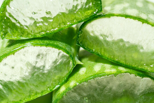 Fresh slices of aloe vera, focus on texture and moisture